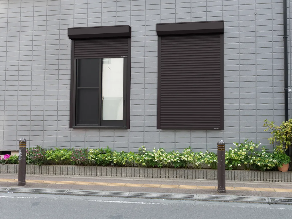 Roller shutters for window openings (burglary-resistant) made of extruded profile RHE45M by DoorHan - view 2